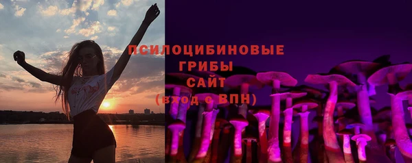 гидра Алексин