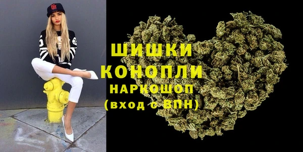 гидра Алексин