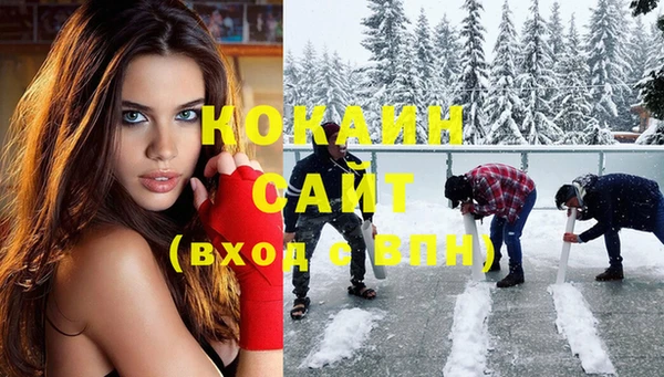 гидра Алексин