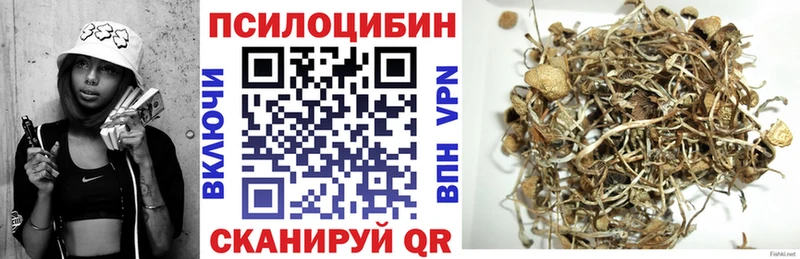 наркотики Нижний Ломов Галлюциногенные грибы GOLDEN TEACHER